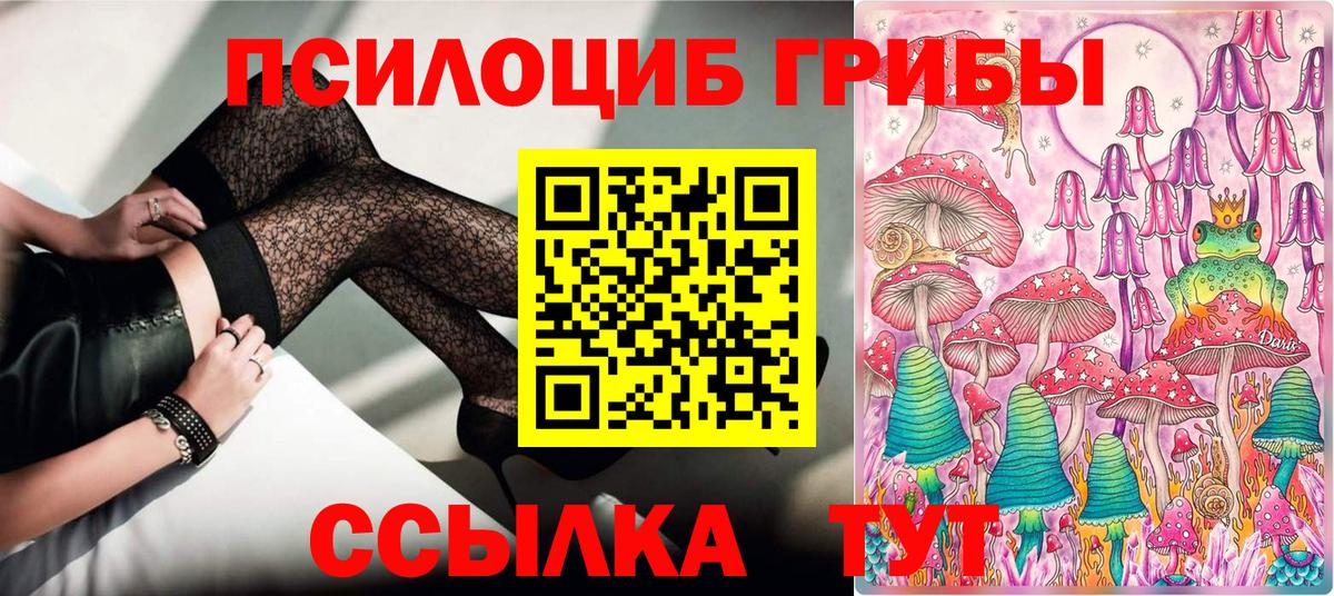Псилоцибиновые грибы мухоморы Чита