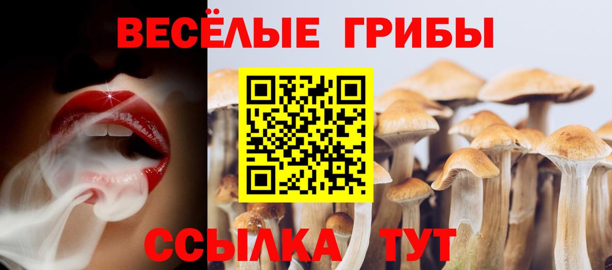 Чита  Псилоцибиновые грибы Psilocybine cubensis  Вход с VPN  Галлюциногенные грибы GOLDEN TEACHER 